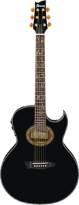 Ibanez introduces new Steve Vai acoustic models