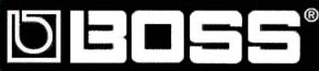 BOSS Announces New Advances Compact Delay Pedal