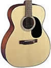 Concert acoustic guitar