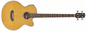 Gear4Music.com debuts Electro Acoustic Bass