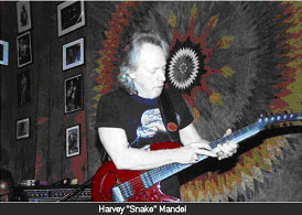 Harvey Mandel Endorses Parker Guitars