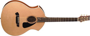 Parker Introduces New Line of Acoustic Guitars with The Intrigue Series