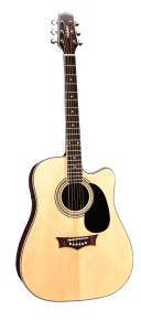 New Peavey Delta Acoustic Series