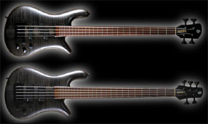 Spector Announces Forte USA Basses