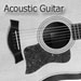 Acoustic Guitars